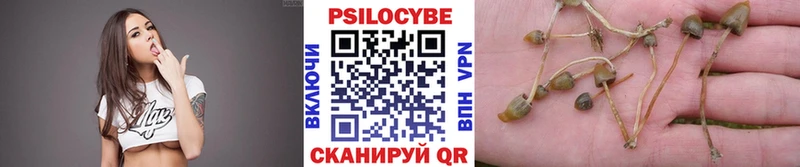 Купить где  Кунгур  Галлюциногенные грибы прущие грибы 