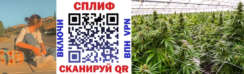 Купить закладки  Кунгур  Бошки Шишки AK-47 